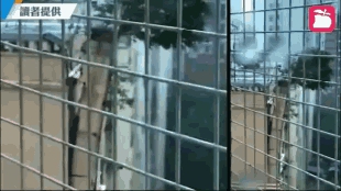 1542176197506053.jpg 2.jpg