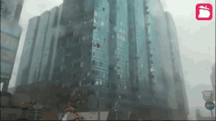 1542176202858484.jpg 3.jpg