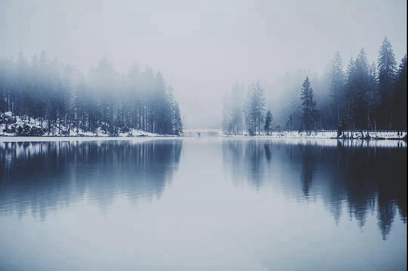 1544068735663980.jpg 1.jpg